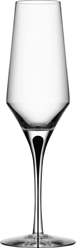 Metropol champagneglass 27 cl Clear/Black