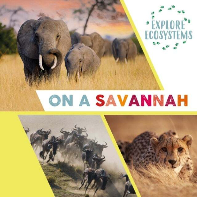 Explore Ecosystems: On a Savannah av Sarah Ridley