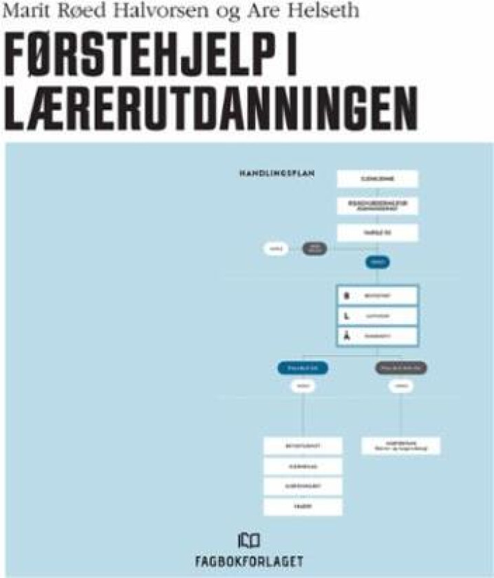 Førstehjelp i lærerutdanningen av Marit Røed Halvorsen, Are Helseth
