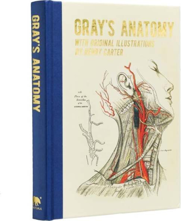 Gray's Anatomy av Henry Gray