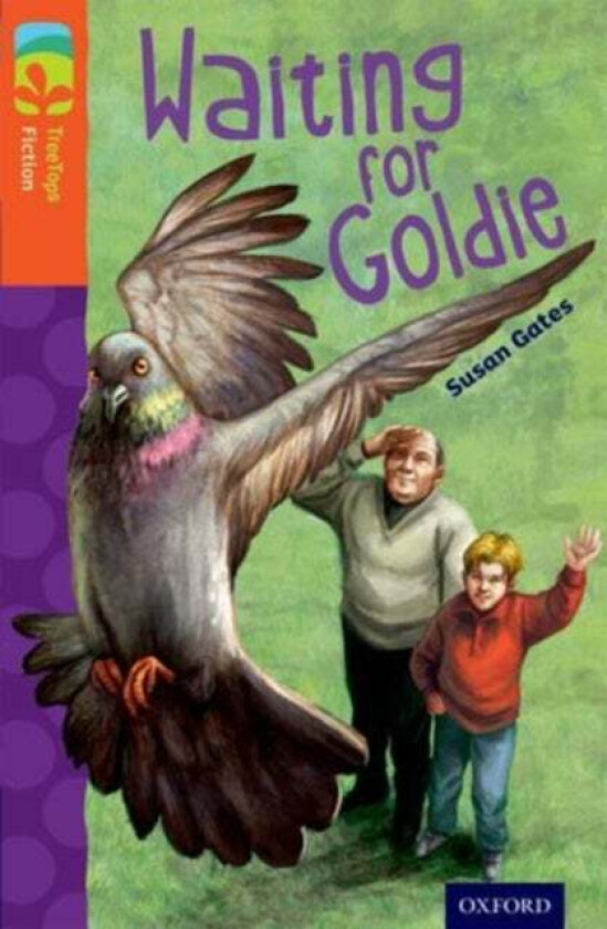 Oxford Reading Tree TreeTops Fiction: Level 13: Waiting for Goldie av Susan Gates