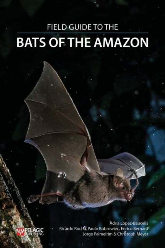 Field Guide to the Bats of the Amazon av Adria Lopez-Baucells, Ricardo Rocha, Paulo Bobrowiec, Enrico Bernard, Jorge Palmeirim, Christoph F. J. Meyer