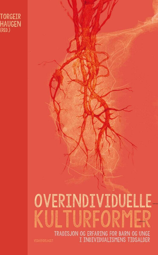 Overindividuelle kulturformer