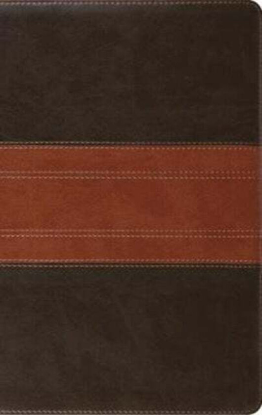 ESV Large Print Personal Size Bible