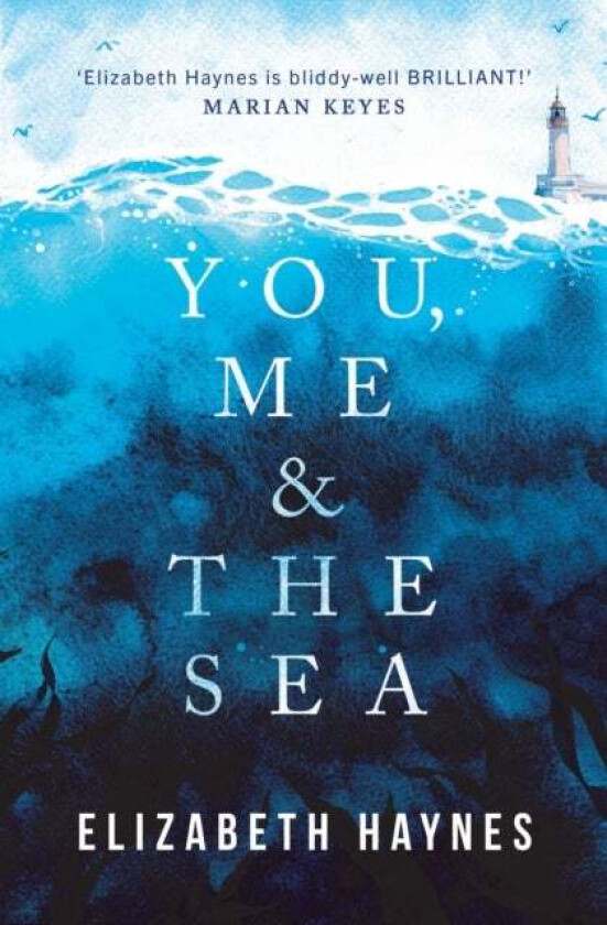 You, Me & the Sea av Elizabeth Haynes