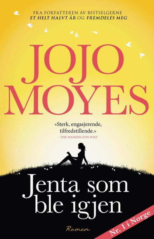 Jenta som ble igjen av Jojo Moyes