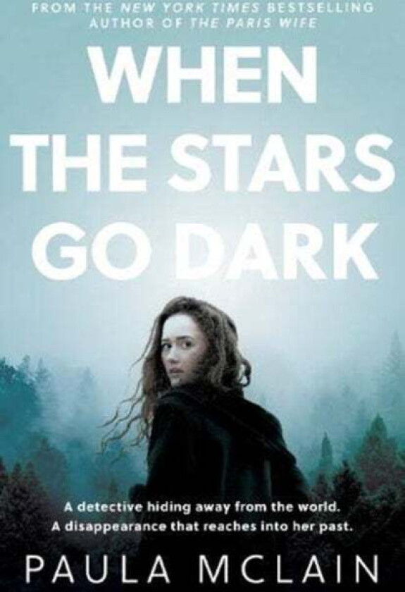 When the Stars Go Dark av Paula McLain