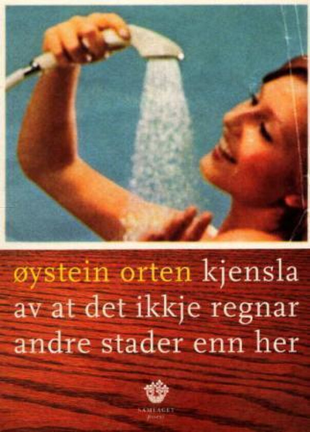 Kjensla av at det ikkje regnar andre stader enn her av Øystein Orten