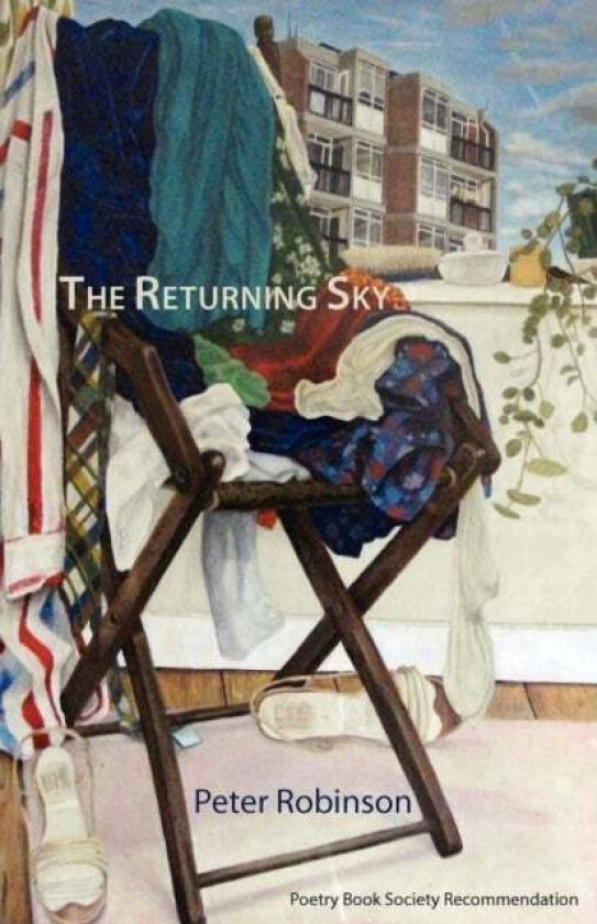 The Returning Sky av Peter Robinson