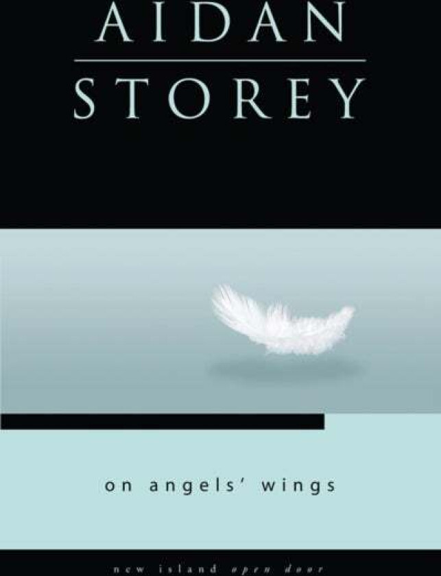 On Angel&#039;s Wings av Aidan Storey