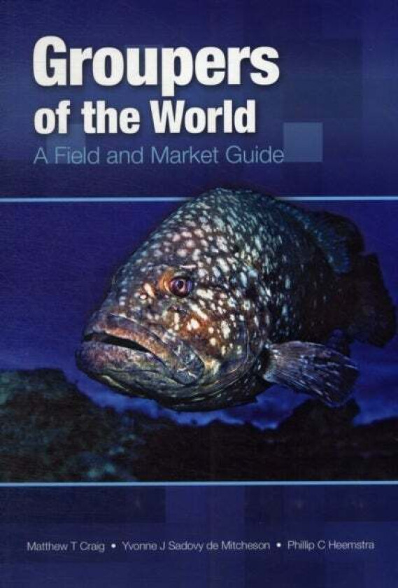 Groupers of the World av T. Craig, Yvonne Sadovy De Mitcheson, O. Heemstra