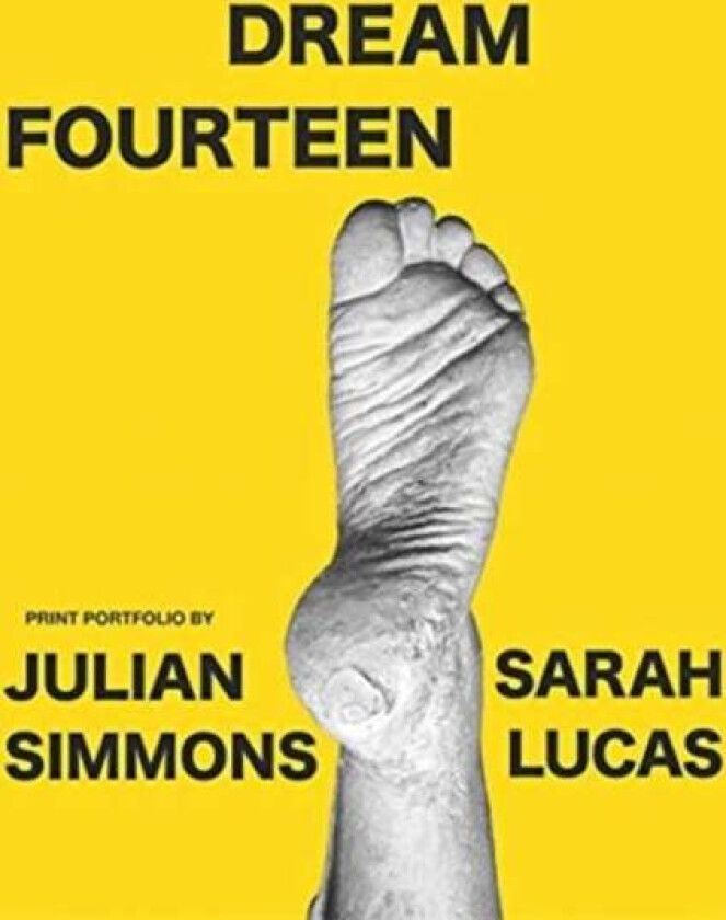 Dream Fourteen av Sarah Lucas, Julian Simmons