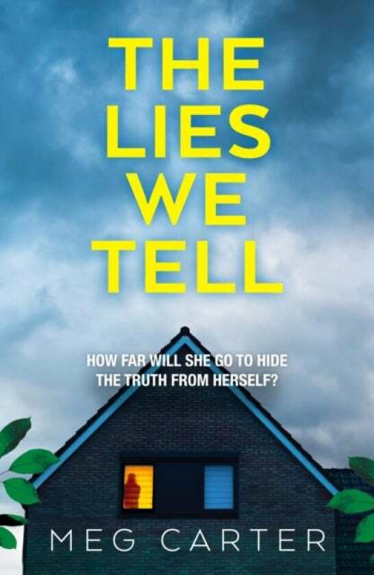 The Lies We Tell av Meg Carter