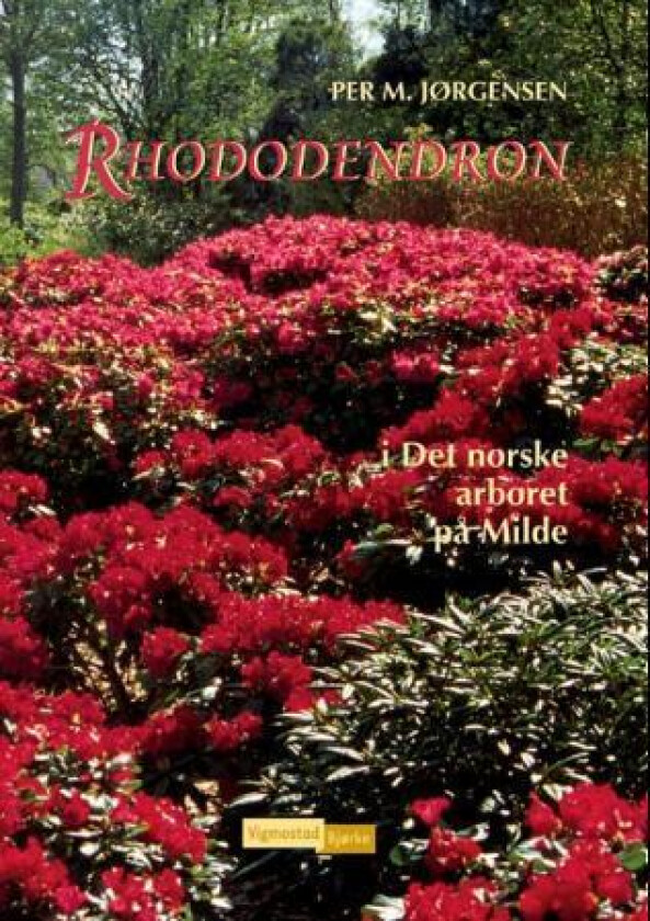 Rhododendron av Per-Magnus Jørgensen
