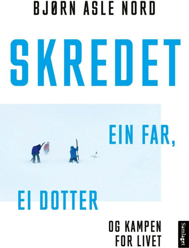 Skredet av Bjørn Asle Nord