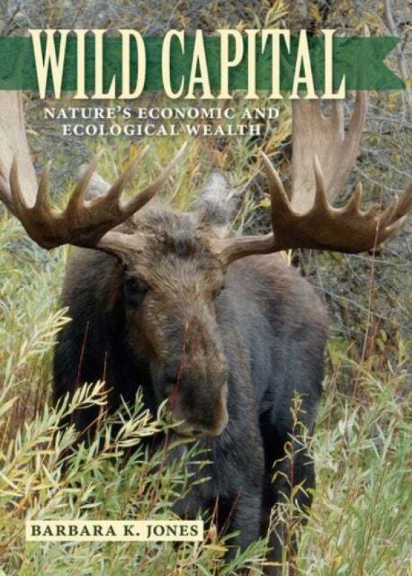 Wild Capital av Barbara K. Jones