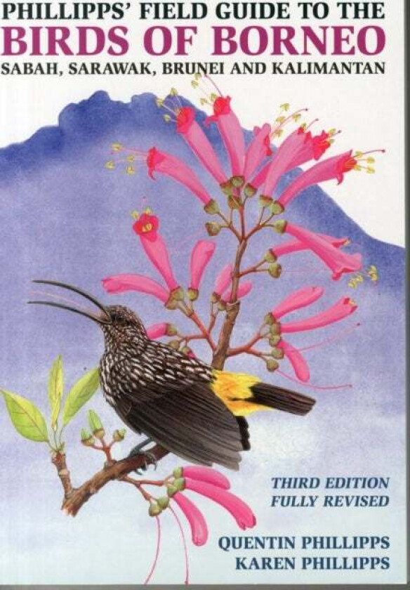Phillipps' Field Guide to the Birds of Borneo av Quentin Phillipps