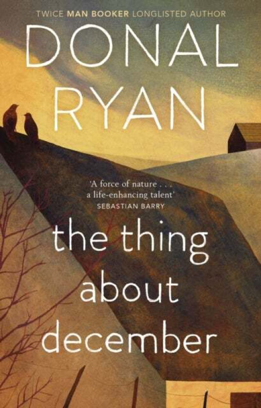 The Thing About December av Donal Ryan