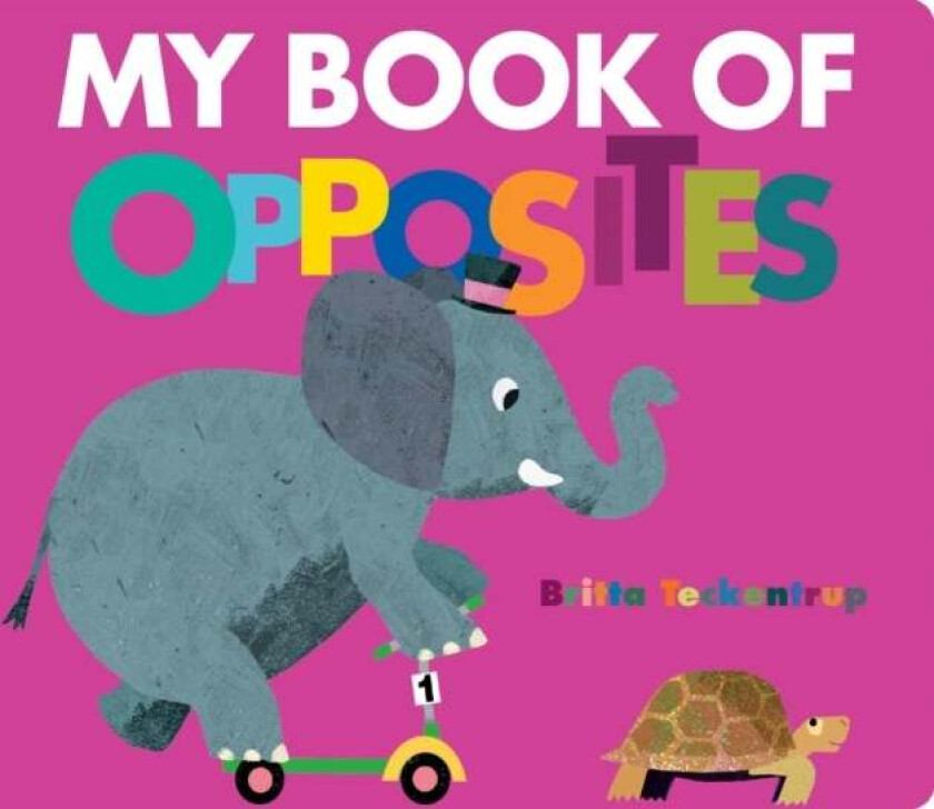 My Book of Opposites