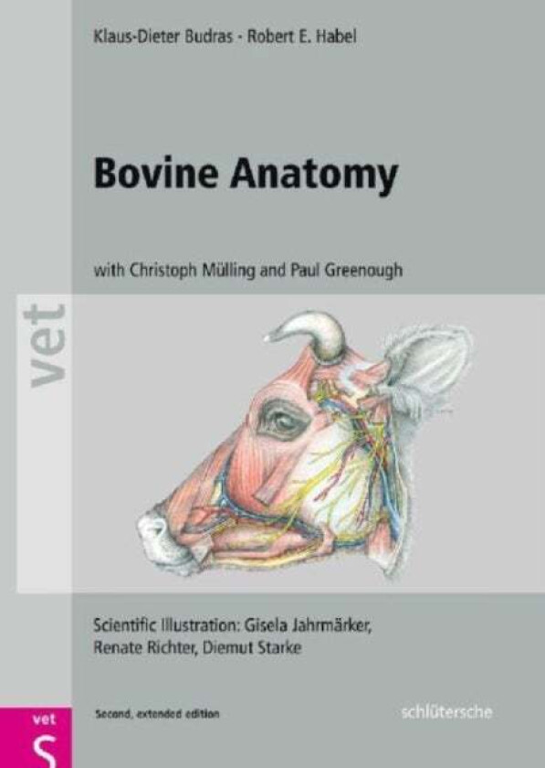 Bovine Anatomy av Klaus Dieter (University of Berlin Germany) Budras, Robert E. Habel, Christoph K. W. (University of Leipzig DE) Mulling, Paul R. (Un