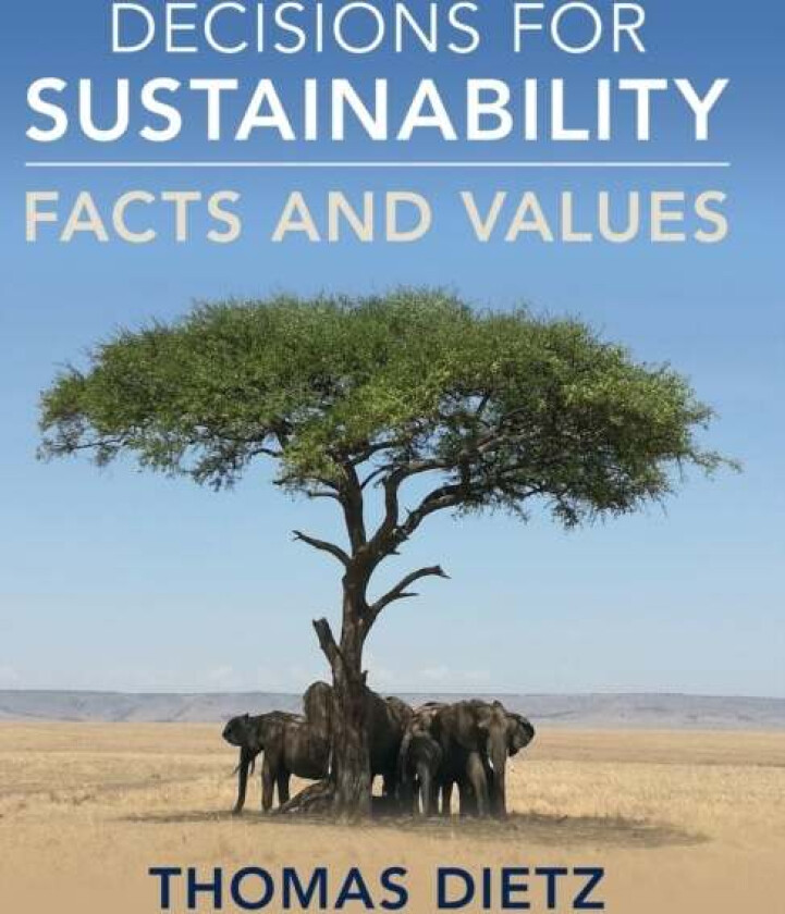 Decisions for Sustainability av Thomas (Michigan State University) Dietz