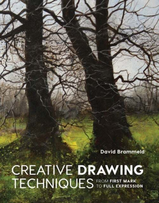 Creative Drawing Techniques av David Brammeld
