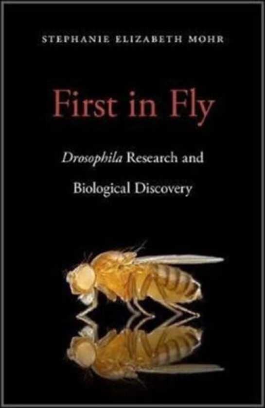 First in Fly av Stephanie Elizabeth Mohr