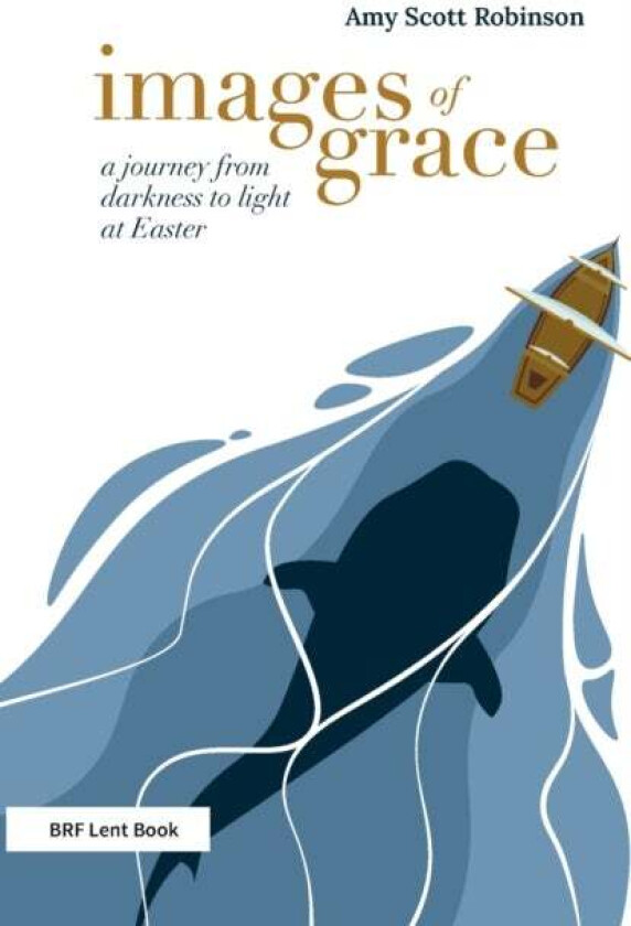 Images of Grace av Amy Scott Robinson