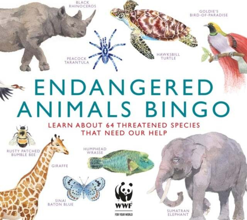 Endangered Animals Bingo av Magma Publishing Ltd, Marcel George