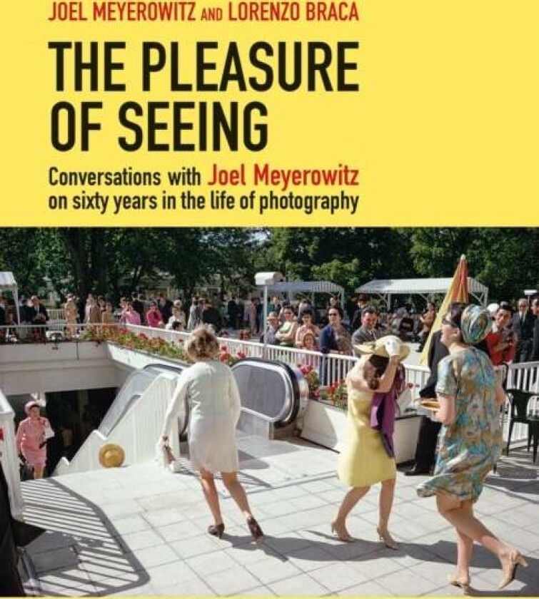 The Pleasure of Seeing av Meyerowitz & Braca