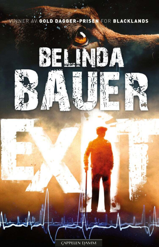 Exit av Belinda Bauer
