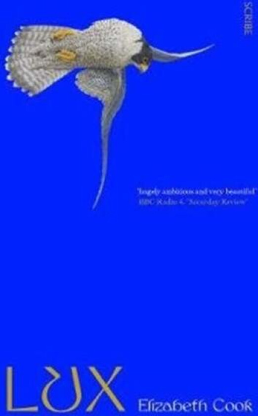 Lux av Elizabeth Cook