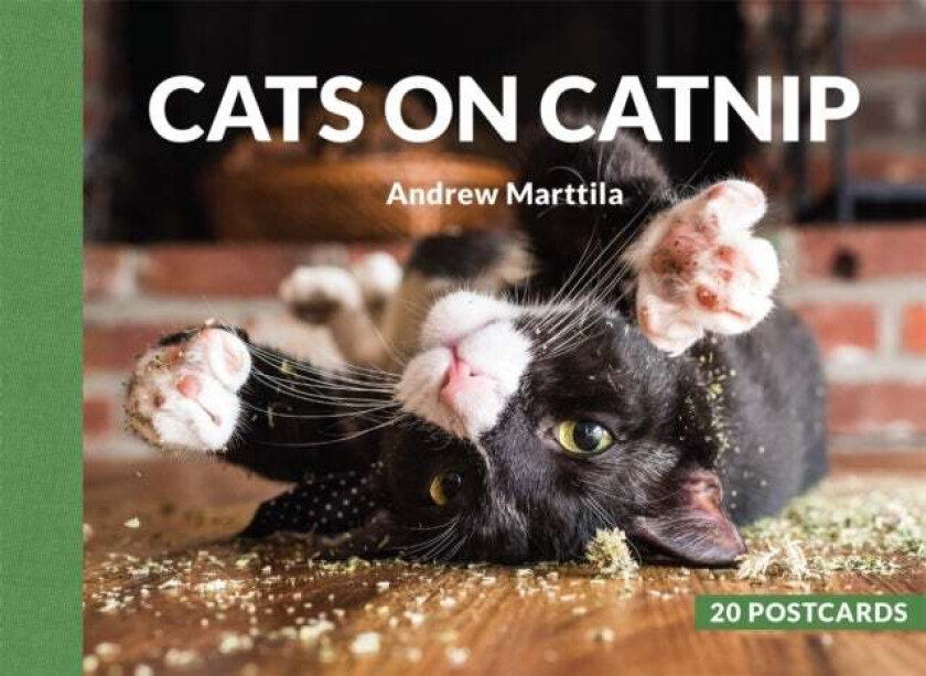 Cats on Catnip: 20 Postcards av Andrew Marttila