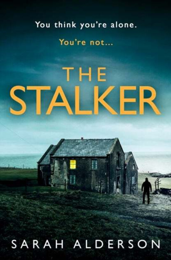The Stalker av Sarah Alderson