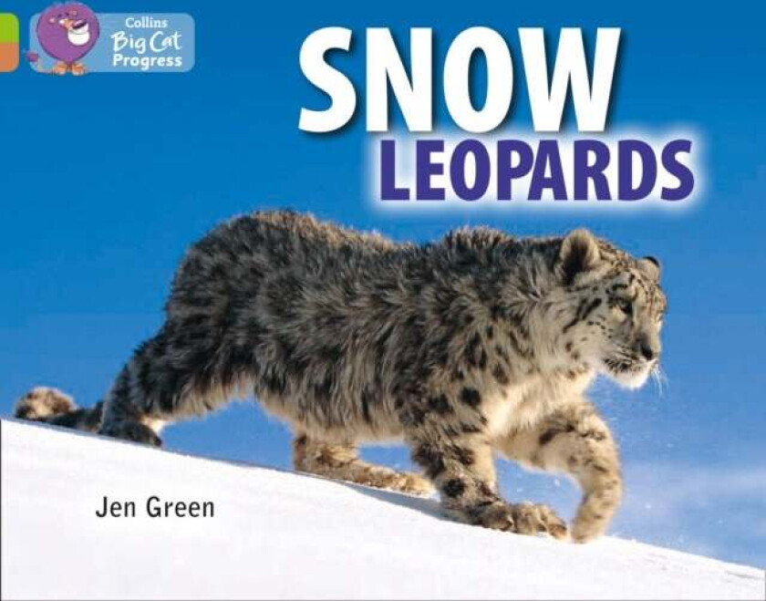 Snow Leopards av Jen Green