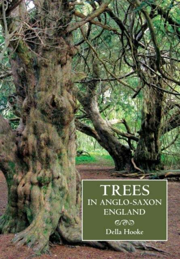 Trees in Anglo-Saxon England av Della Hooke