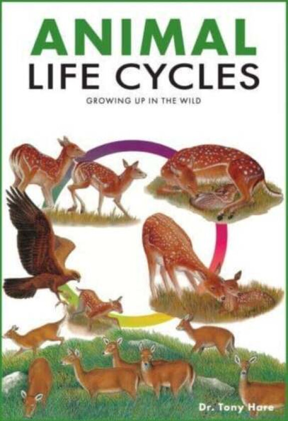 Animal Life Cycles av Tony Hare