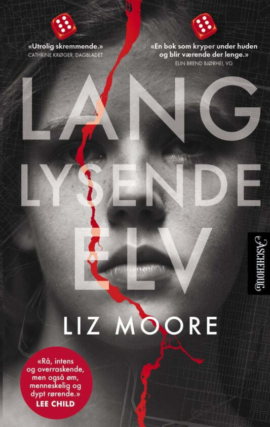 Lang lysende elv av Liz Moore