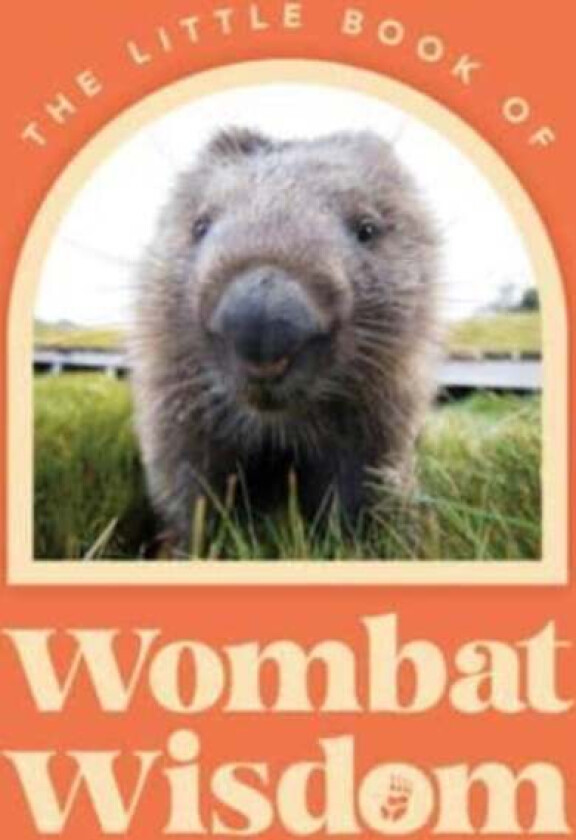 Little Book Of Wombat Wisdom