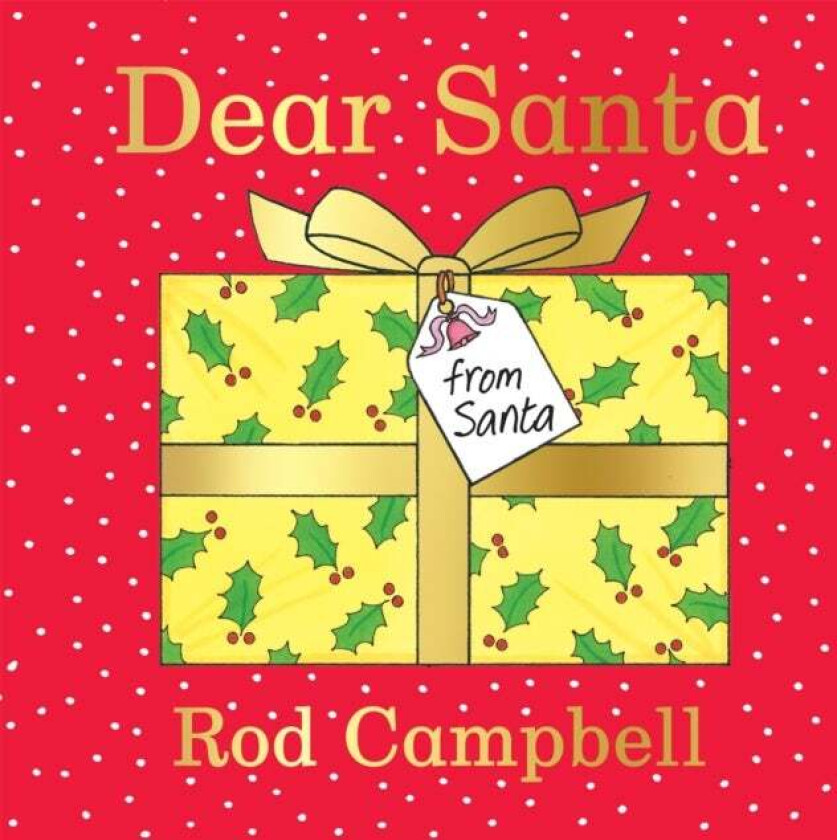 Dear Santa av Rod Campbell