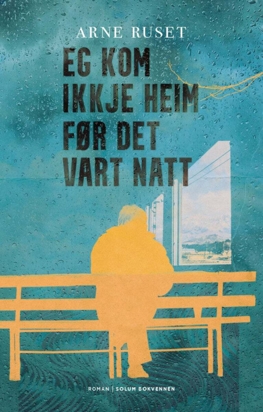 Eg kom ikkje heim før det vart natt av Arne Ruset