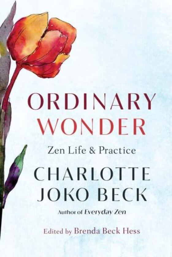 Ordinary Wonder av Charlotte Joko Beck, Brenda Beck Hess