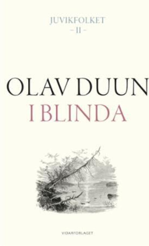 I blinda av Olav Duun