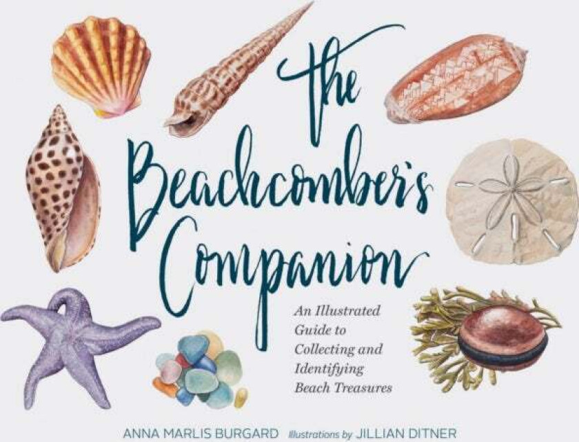 Beachcomber&#039;s Companion av Jillian Dittner