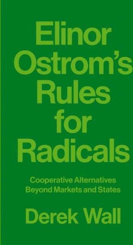 Elinor Ostrom's Rules for Radicals av Derek Wall