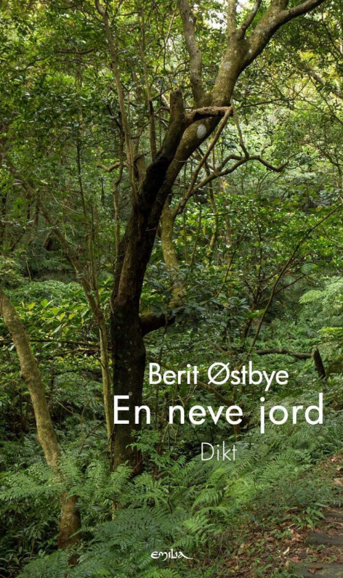 En neve jord av Berit Østbye