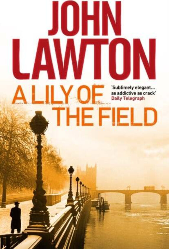 A Lily of the Field av John (Author) Lawton