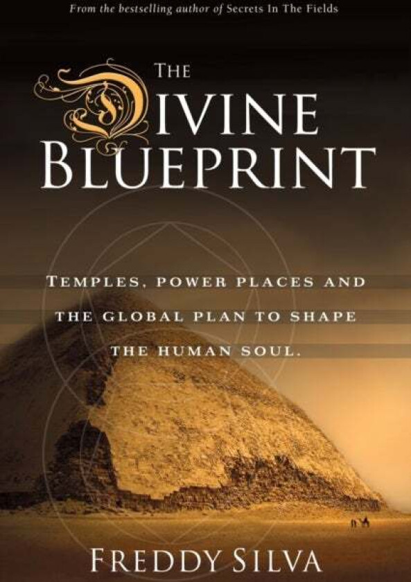 The Divine Blueprint av Freddy Silva