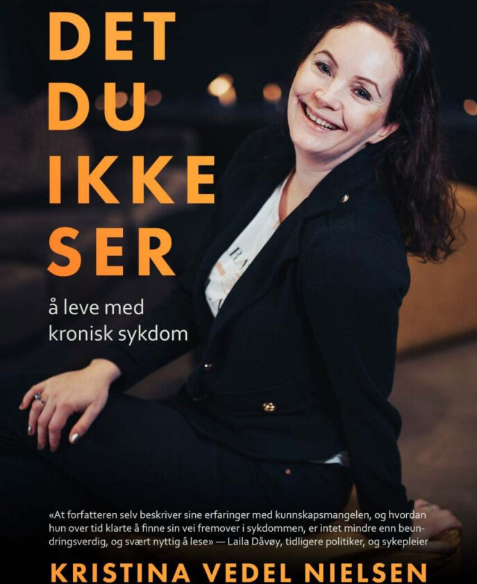 Det du ikke ser av Kristina Vedel Nielsen