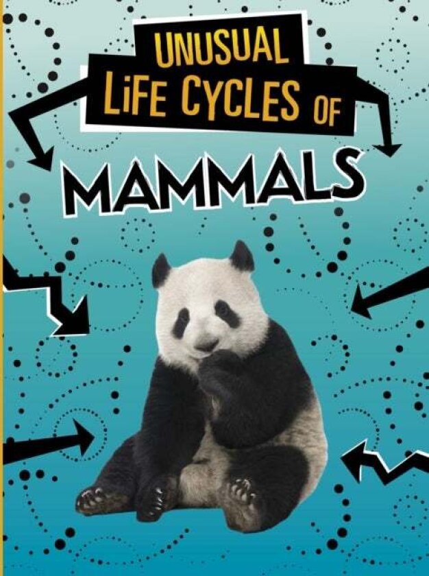 Unusual Life Cycles of Mammals av Jaclyn Jaycox